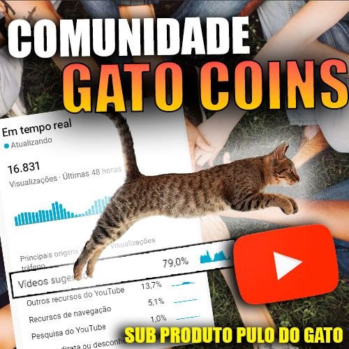 Gato Coins 