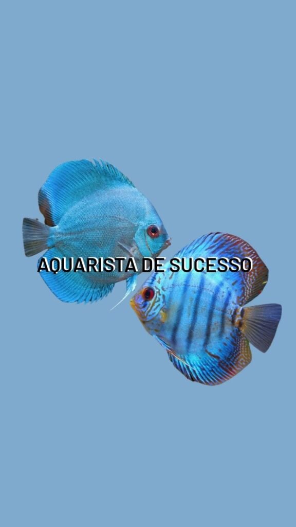 Aquarismo de Sucesso RECLAME AQUI, Aquarismo de Sucesso É CONFIÁVEL? Aquarismo de Sucesso VALE A PENA?