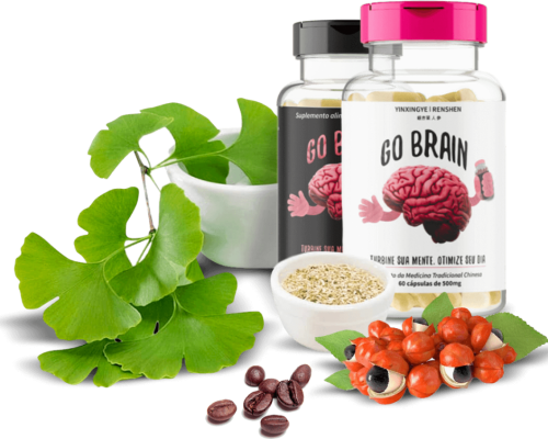 Gobrain É BOM? Gobrain VALE A PENA? Gobrain FUNCIONA?